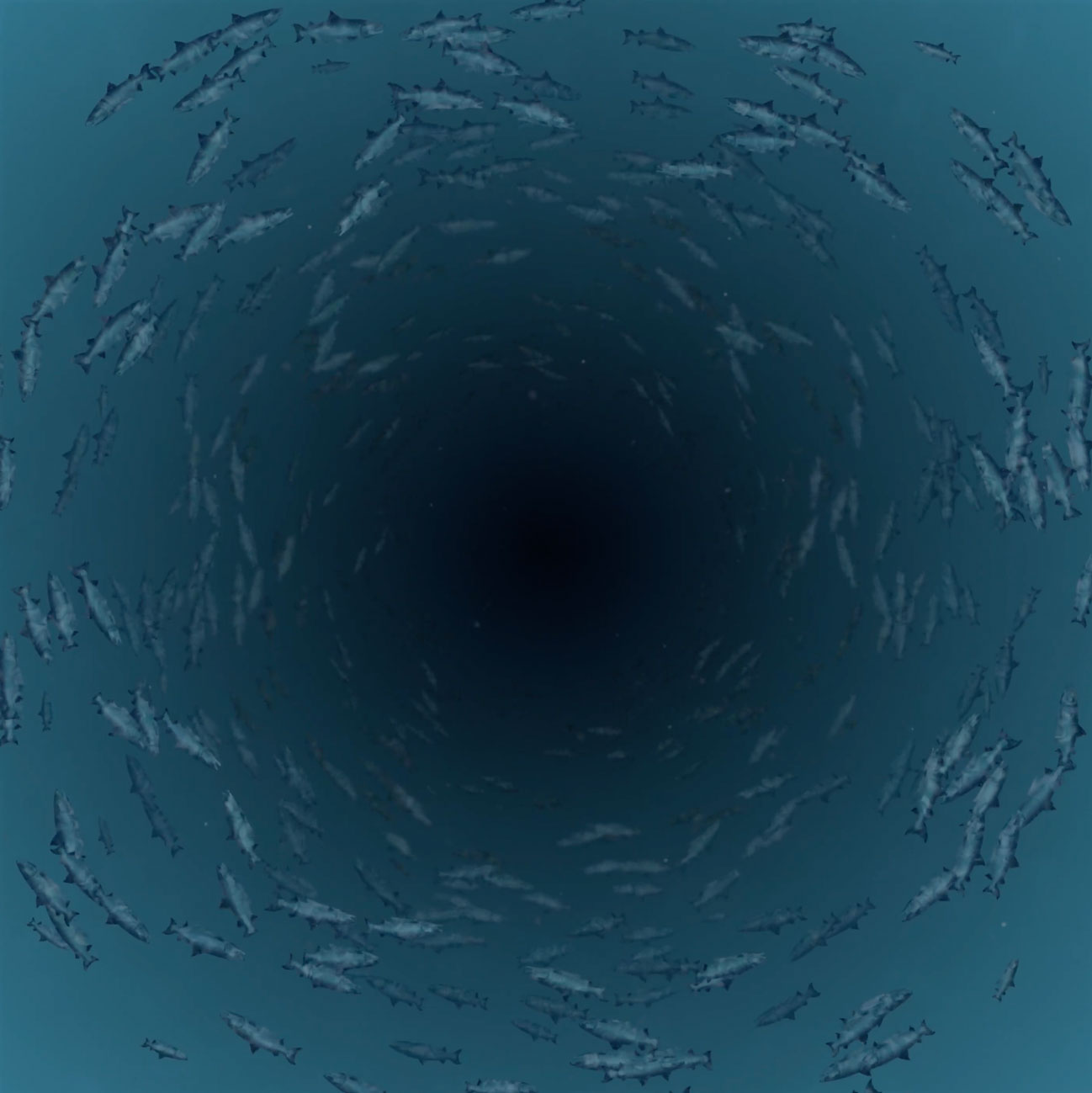 test_video.jpg